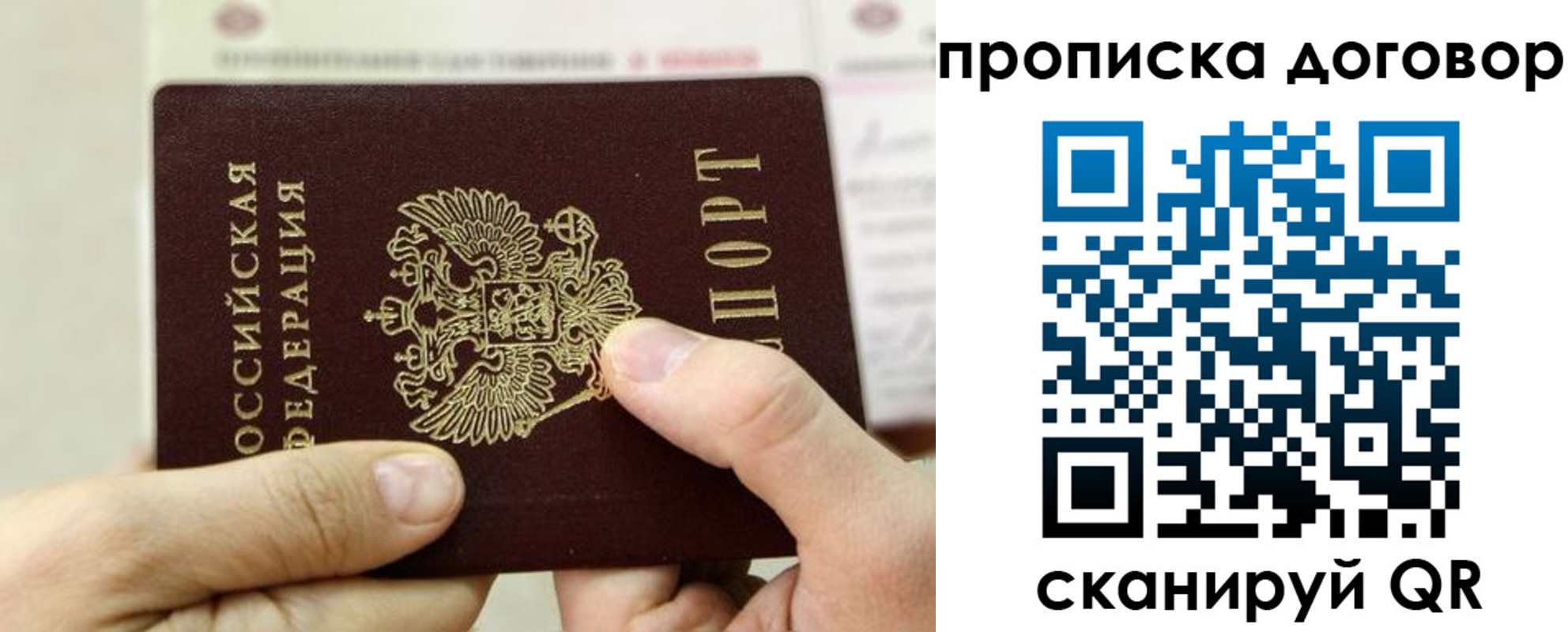 прописка регистрация в Бородино